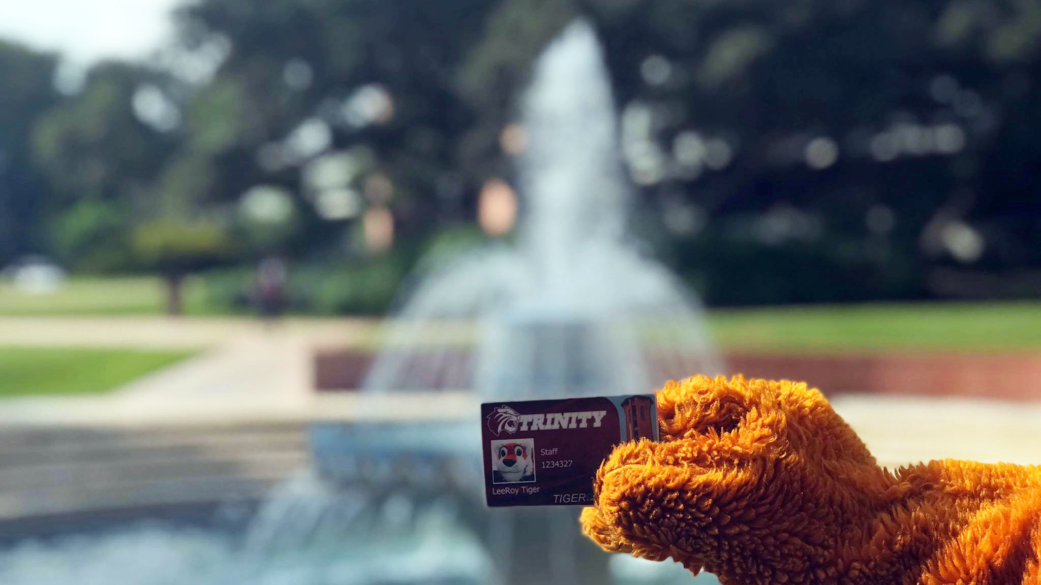 LeeRoy holding a Tiger Card in front of the fountain