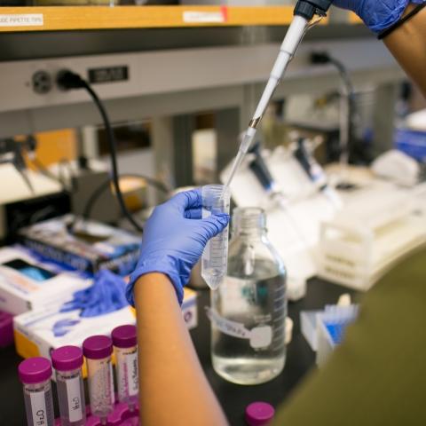 Student collects samples into a vial.