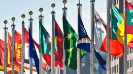 Flags displayed in a row from different countries across the world
