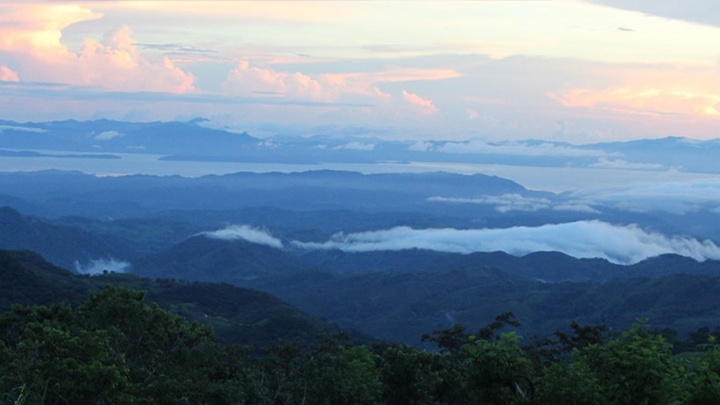 Landscape View of the World