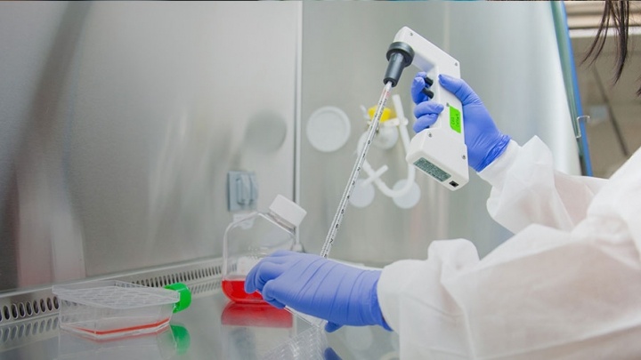 gloved hands work on a chemistry experiment
