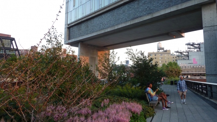 people in an elevated garden in a city
