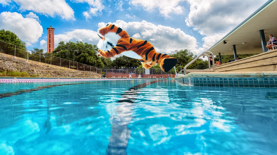 LeeRoy the Tiger jumping into the pool