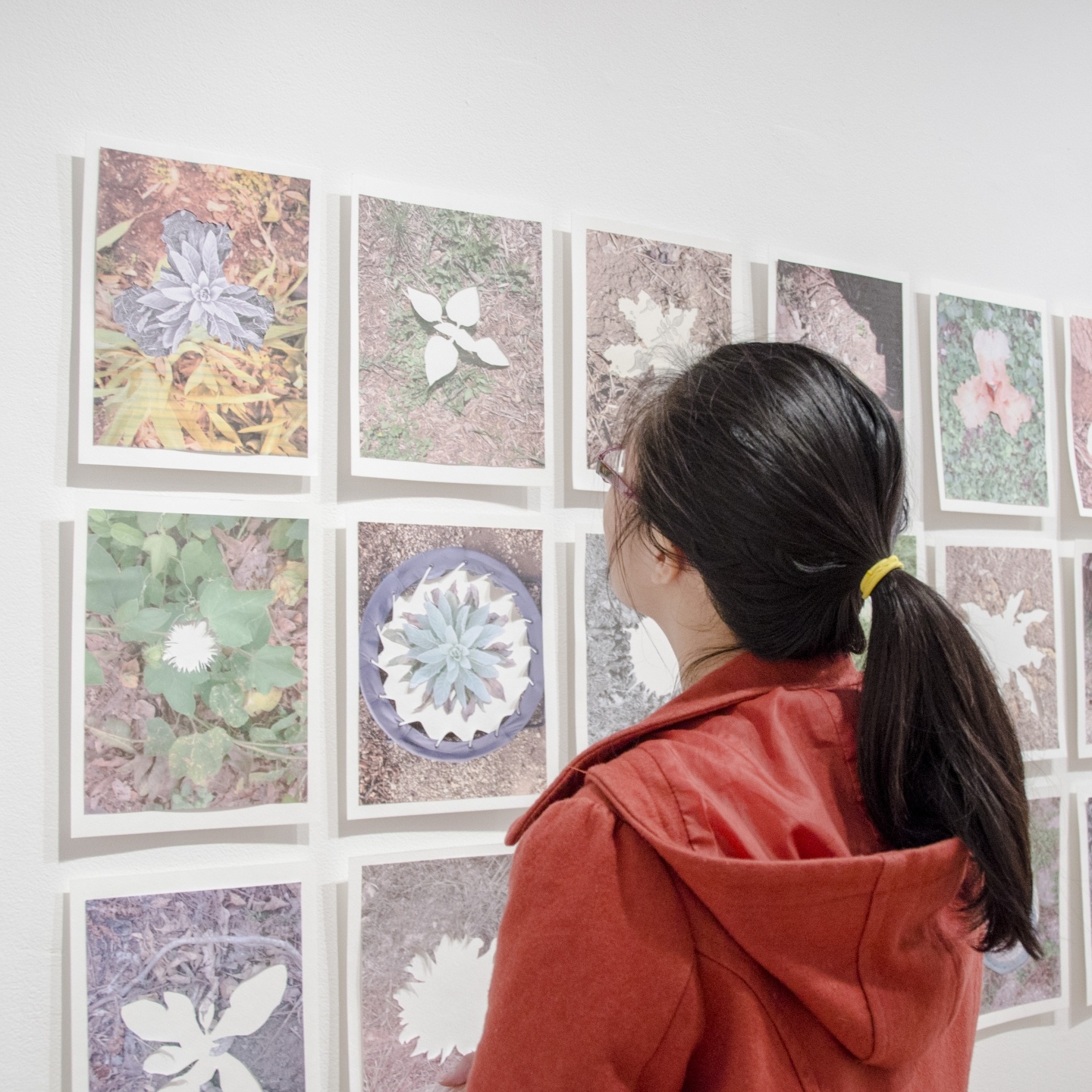 Student admiring gallery wall of art