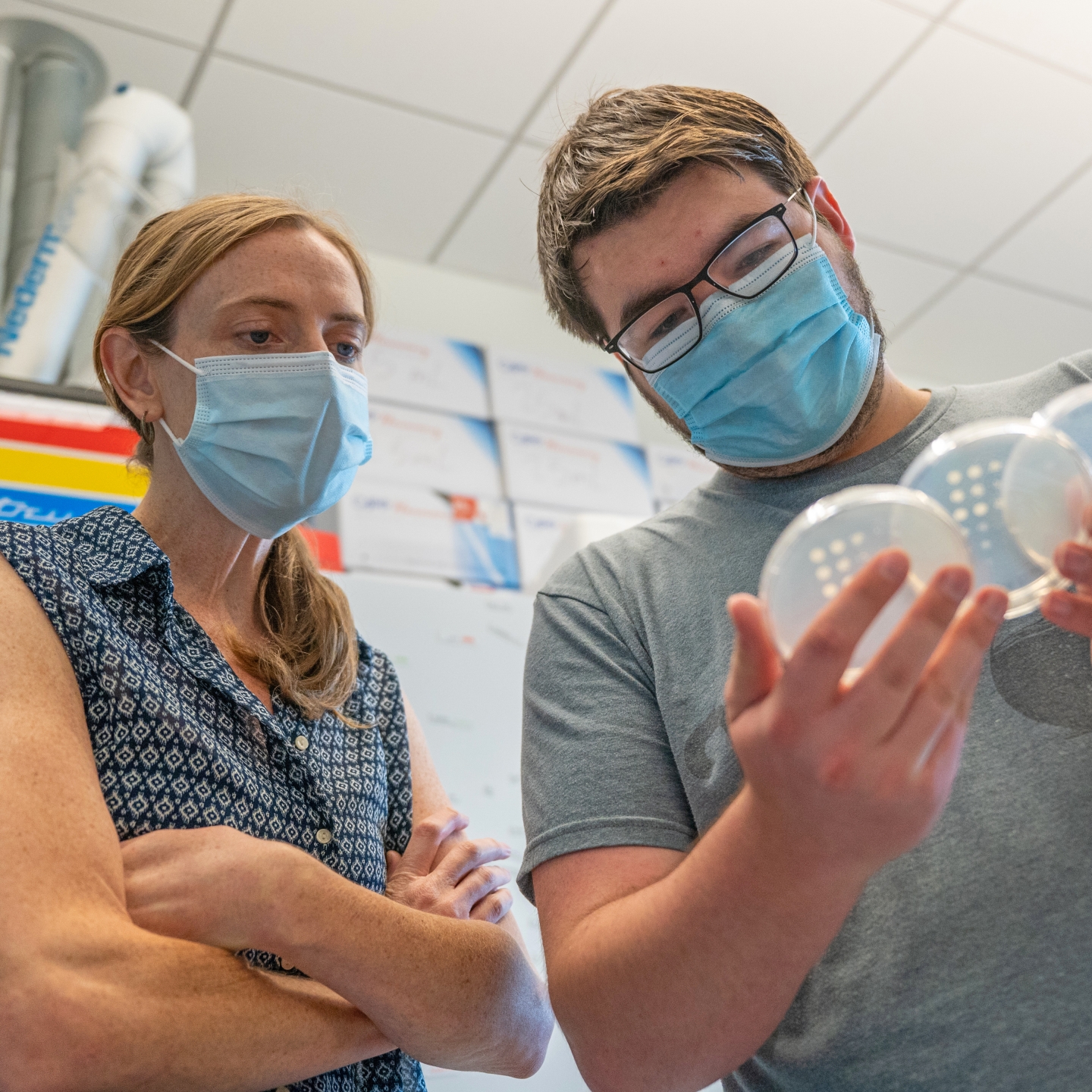 Bethany Strunk looks at petri dishes with a student in her lab