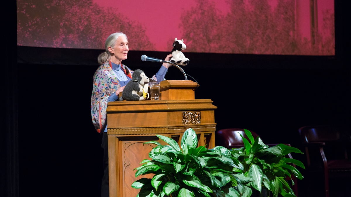 Jane Goodall holds a stuffed gorilla during a lecture in Laurie Auditorium