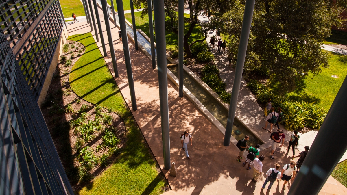 View of Northrup Hall main entrance walkway from third floor patio.