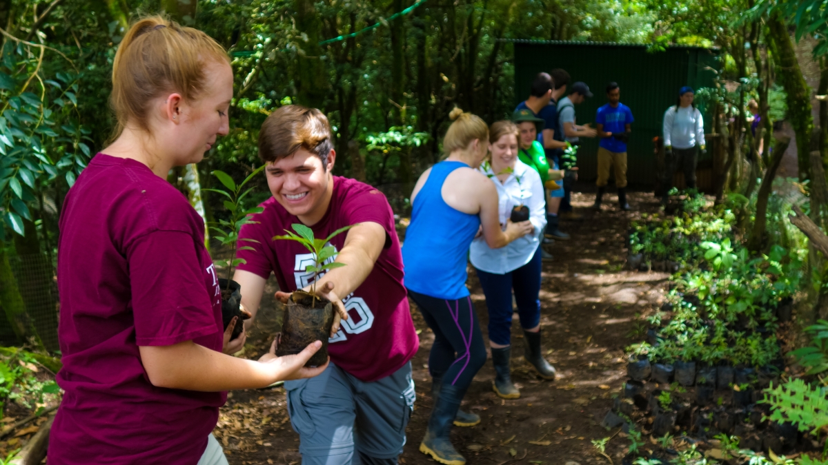Students pass plants in jungle