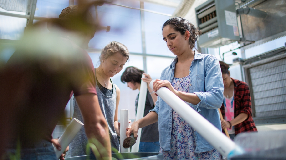 Avva Bassiri looks down a tube for a course project in the Greenhouse