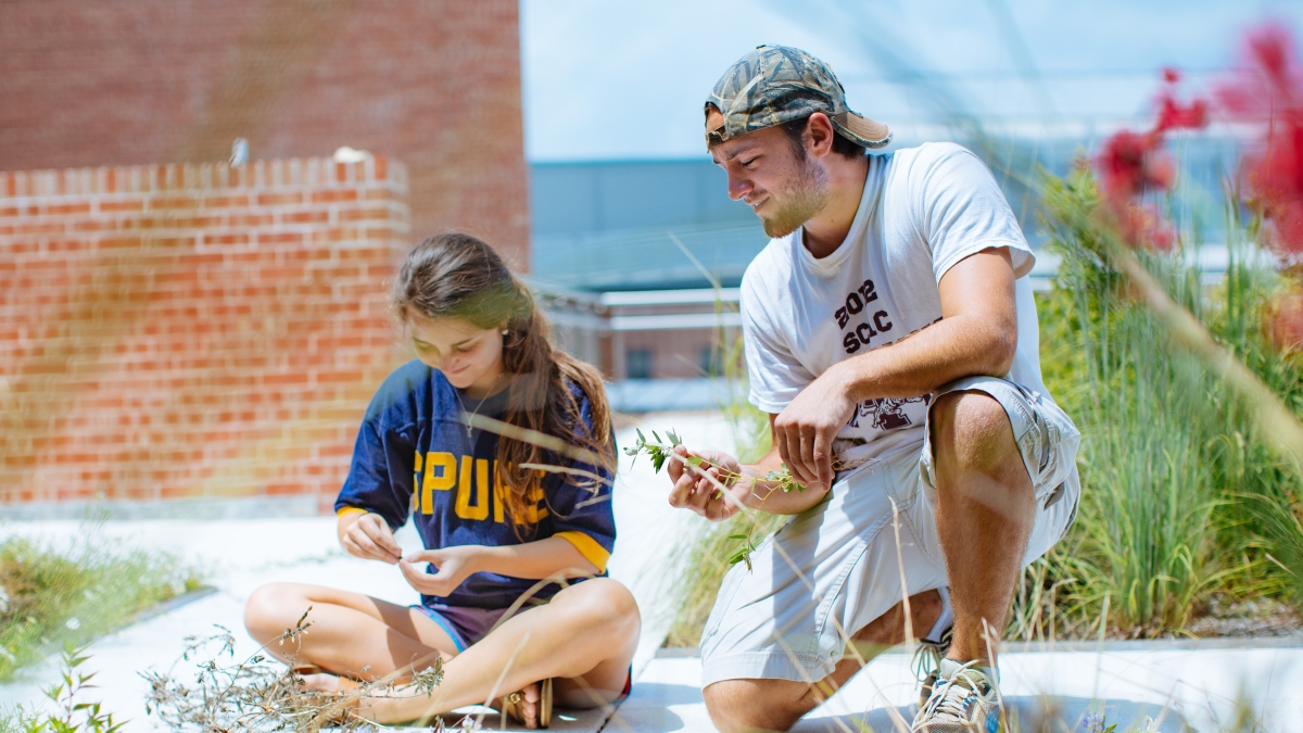 two students looking at grass on roof