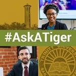 Ask a Tiger Graphic